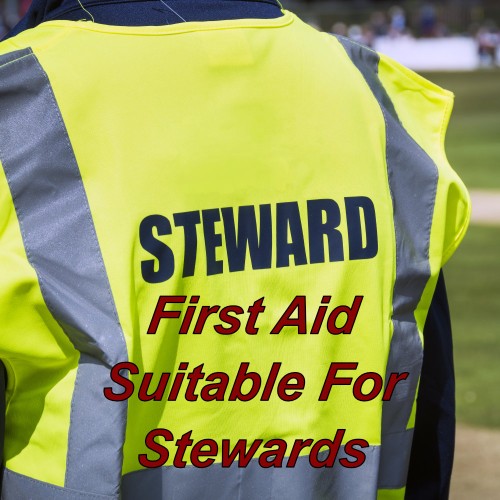 First aid training online suitable for stewards, level 2 emergency first aid certification