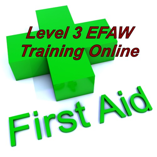 EFAW Course Online, emergency first aid training via e-learning.